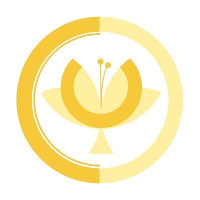 Profile picture of MyQuests Digital Consulting / WebDesign / SEO