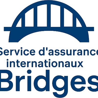 Profile picture of assuranceBridges