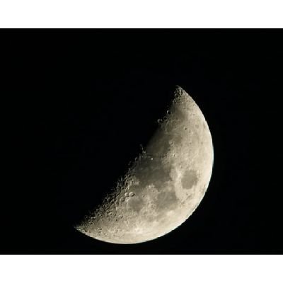 Profile picture of RK